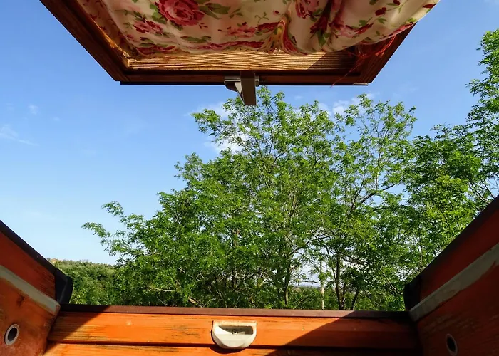 Le Mimose B&B